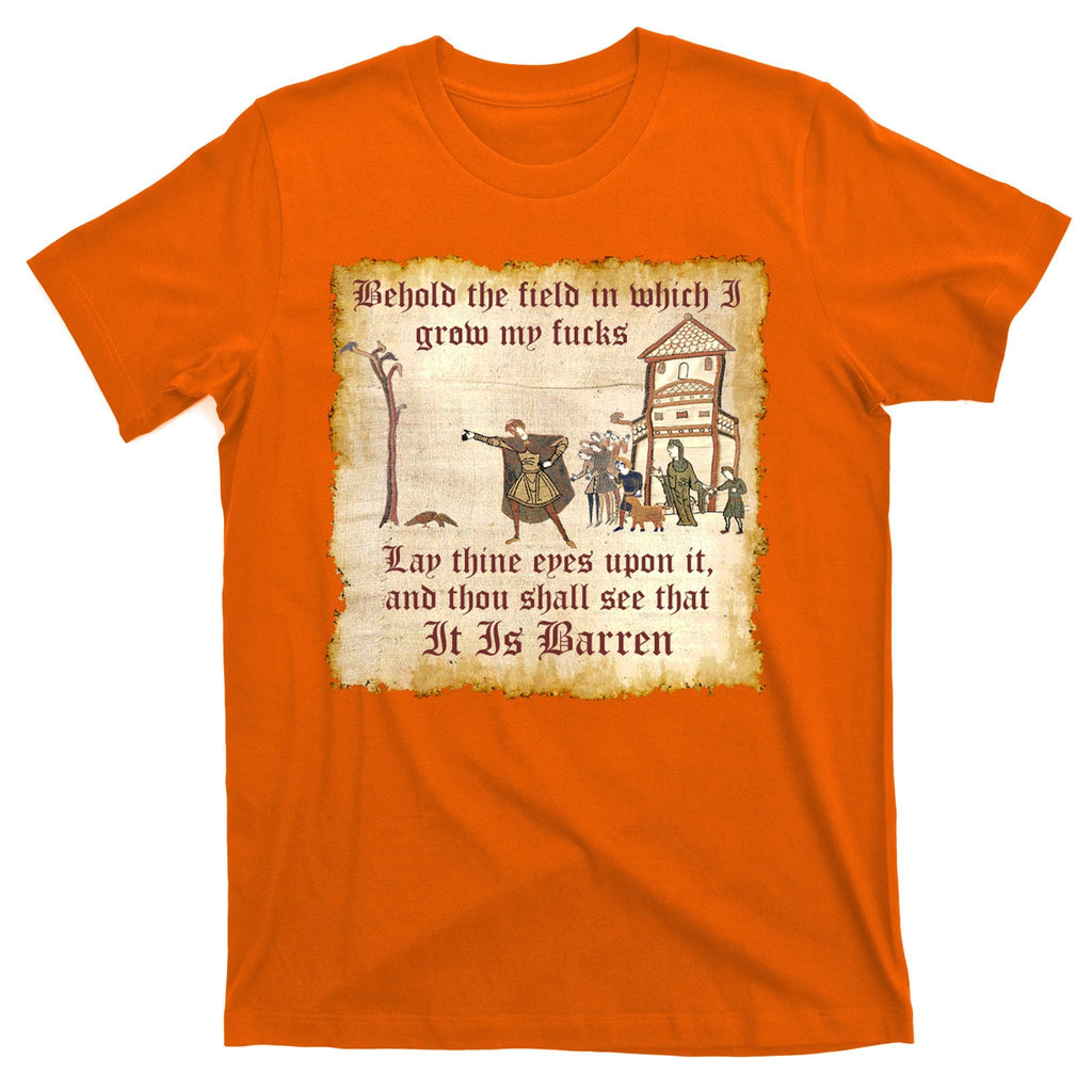 Behold The Field Medieval Dank Meme T-Shirt product image 5