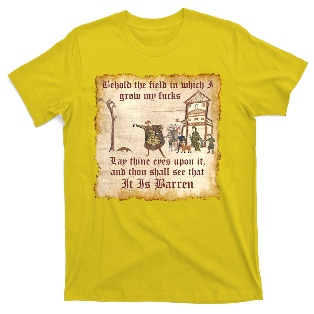 Behold The Field Medieval Dank Meme T-Shirt product image 3
